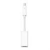 Adapter Apple Thunderbolt / FireWire
