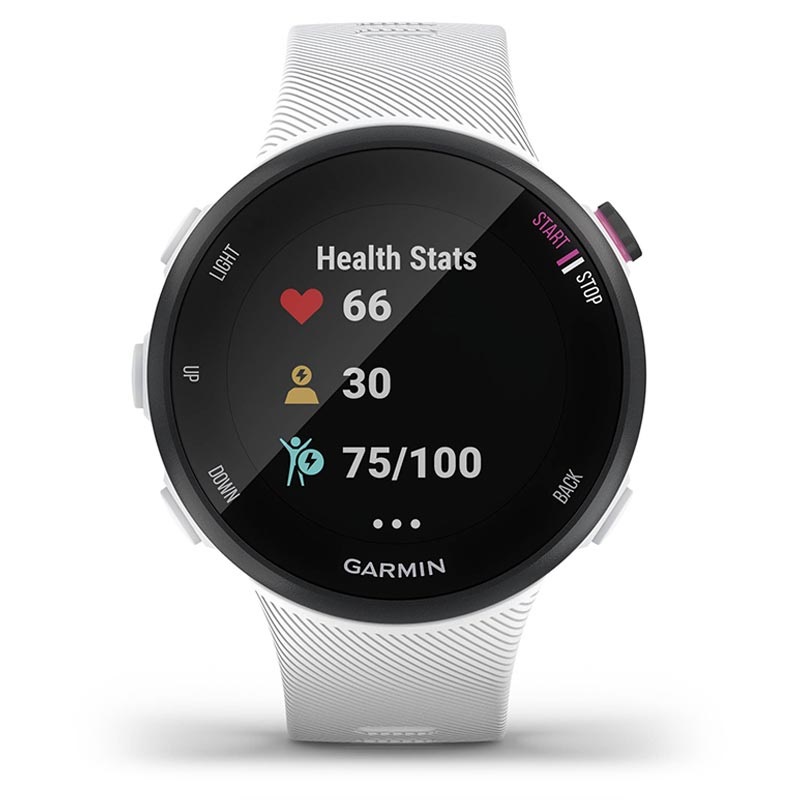 forerunner 45 39mm