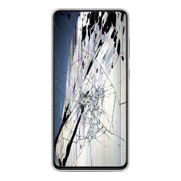 Naprawa LCD i Ekranu Dotykowego Samsung Galaxy S21 FE 5G - Biel